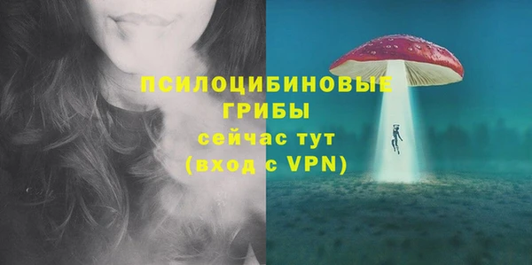 прущие грибы Алзамай