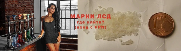 прущие грибы Алзамай