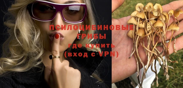 прущие грибы Алзамай