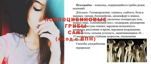 прущие грибы Алзамай