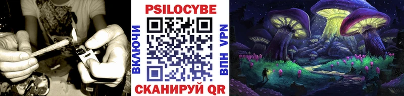 Псилоцибиновые грибы мицелий  дарнет шоп  ОМГ ОМГ как войти  Чёрмоз 